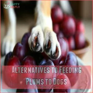 Alternatives to Feeding Plums to Dogs