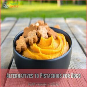 Alternatives to Pistachios for Dogs