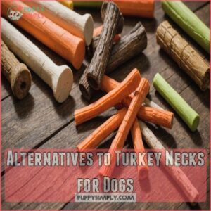 Alternatives to Turkey Necks for Dogs