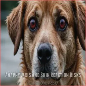 Anaphylaxis and Skin Reaction Risks