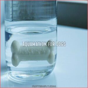 Aquamation for Dogs