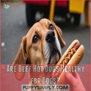 Are Beef Hot Dogs Healthy for Dogs