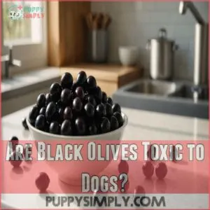 Are Black Olives Toxic to Dogs