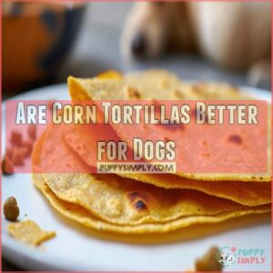 Are Corn Tortillas Better for Dogs