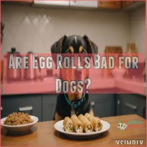 Are Egg Rolls Bad for Dogs