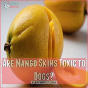 Are Mango Skins Toxic to Dogs