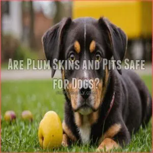 Are Plum Skins and Pits Safe for Dogs