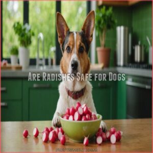 Are Radishes Safe for Dogs