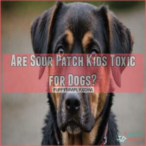 Are Sour Patch Kids Toxic for Dogs