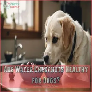 Are Water Chestnuts Healthy for Dogs