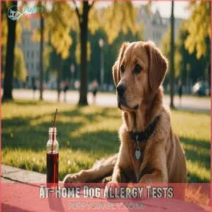 At-Home Dog Allergy Tests