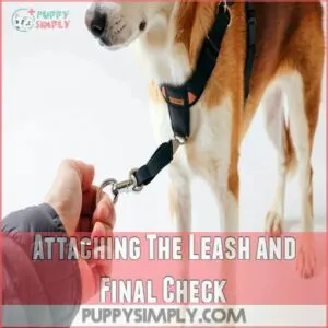 Attaching The Leash and Final Check