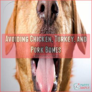 Avoiding Chicken, Turkey, and Pork Bones