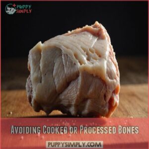 Avoiding Cooked or Processed Bones