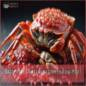 Bacterial Contamination in Raw Meat