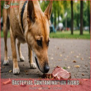 Bacterial Contamination Risks