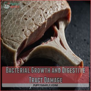 Bacterial Growth and Digestive Tract Damage