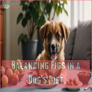 Balancing Figs in a Dog