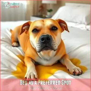 Bed as a Preferred Spot