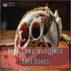 Beef, Lamb, and Other Safe Bones