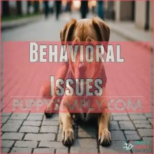 Behavioral Issues