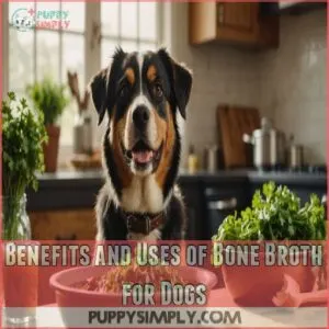 Benefits and Uses of Bone Broth for Dogs