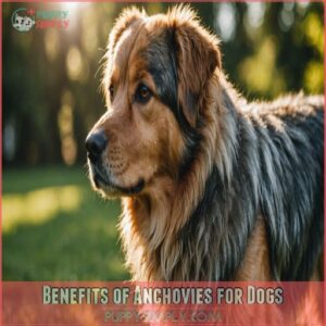 Benefits of Anchovies for Dogs