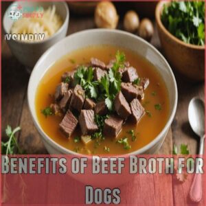 Benefits of Beef Broth for Dogs