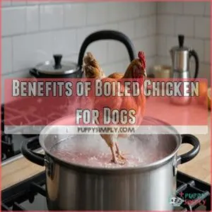 Benefits of Boiled Chicken for Dogs