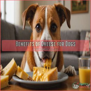 Benefits of Cheese for Dogs