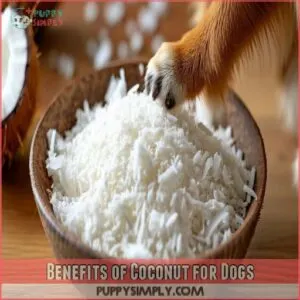 Benefits of Coconut for Dogs