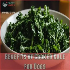 Benefits of Cooked Kale for Dogs