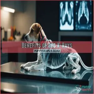 Benefits of Dog X-Rays