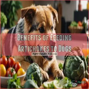 Benefits of Feeding Artichokes to Dogs