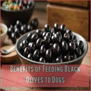 Benefits of Feeding Black Olives to Dogs