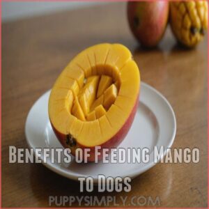 Benefits of Feeding Mango to Dogs