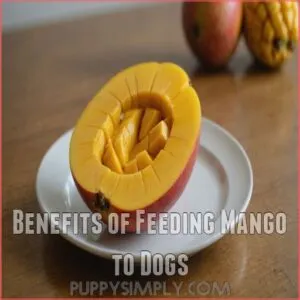 Benefits of Feeding Mango to Dogs