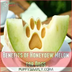 Benefits of Honeydew Melon for Dogs