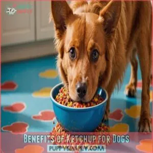 Benefits of Ketchup for Dogs