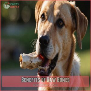 Benefits of Raw Bones