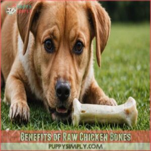 Benefits of Raw Chicken Bones