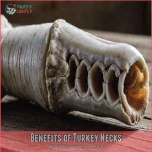 Benefits of Turkey Necks Benefits of Turkey Necks