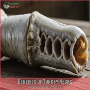 Benefits of Turkey Necks