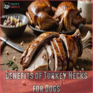 Benefits of Turkey Necks for Dogs Benefits of Turkey Necks for Dogs