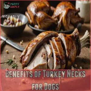 Benefits of Turkey Necks for Dogs