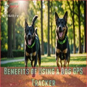 Benefits of Using a Dog GPS Tracker