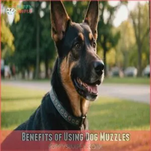 Benefits of Using Dog Muzzles