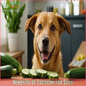 Benefits of Zucchini for Dogs