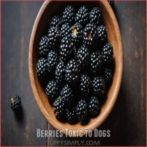 Berries Toxic to Dogs