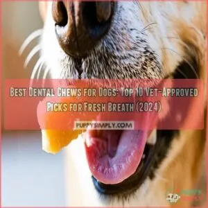 best dental chews for dogs